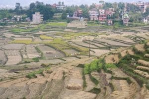 Organic Fertilizers: A Direction Nepal Needs to Choose