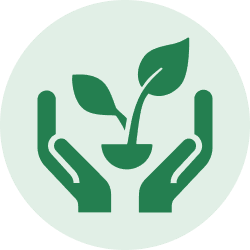 Hand holding a plant