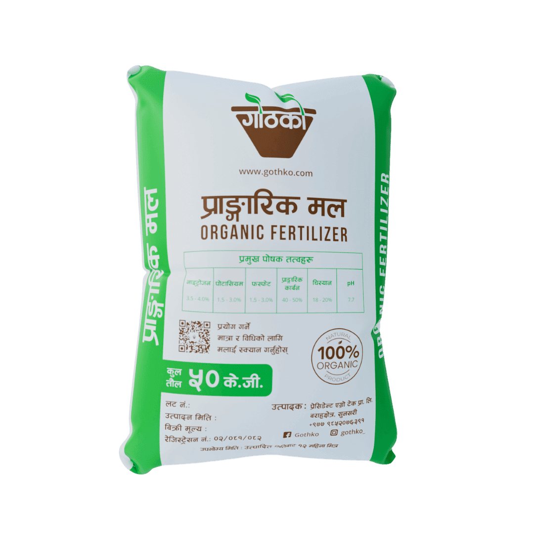 Image of Gothko Packaged Bora